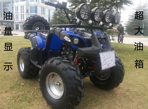 越野沙灘車圖片/越野沙灘車樣板圖 (2)