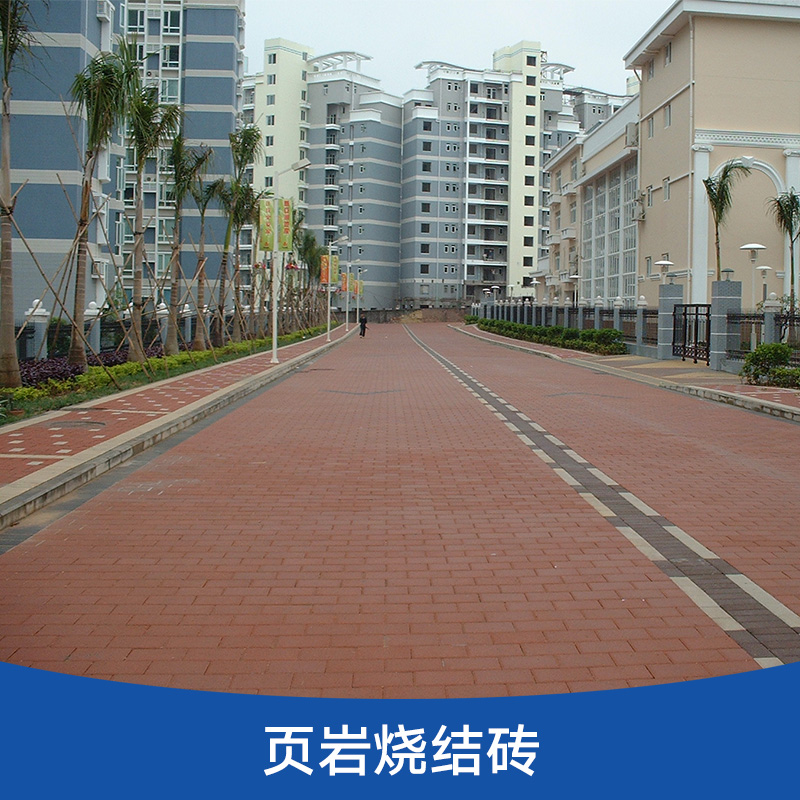 頁巖燒結(jié)磚圖片/頁巖燒結(jié)磚樣板圖 (3)