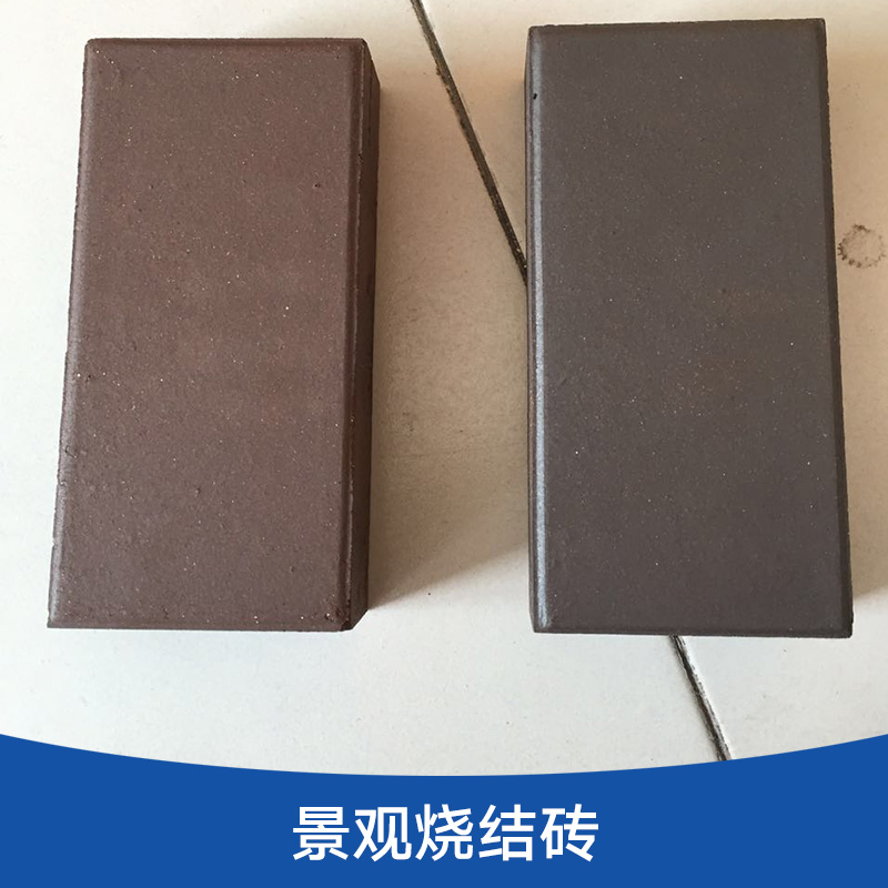 景觀燒結(jié)磚 彩色燒結(jié)磚 園林景觀磚 飾面鋪裝燒結(jié)磚 廣場(chǎng)燒結(jié)磚
