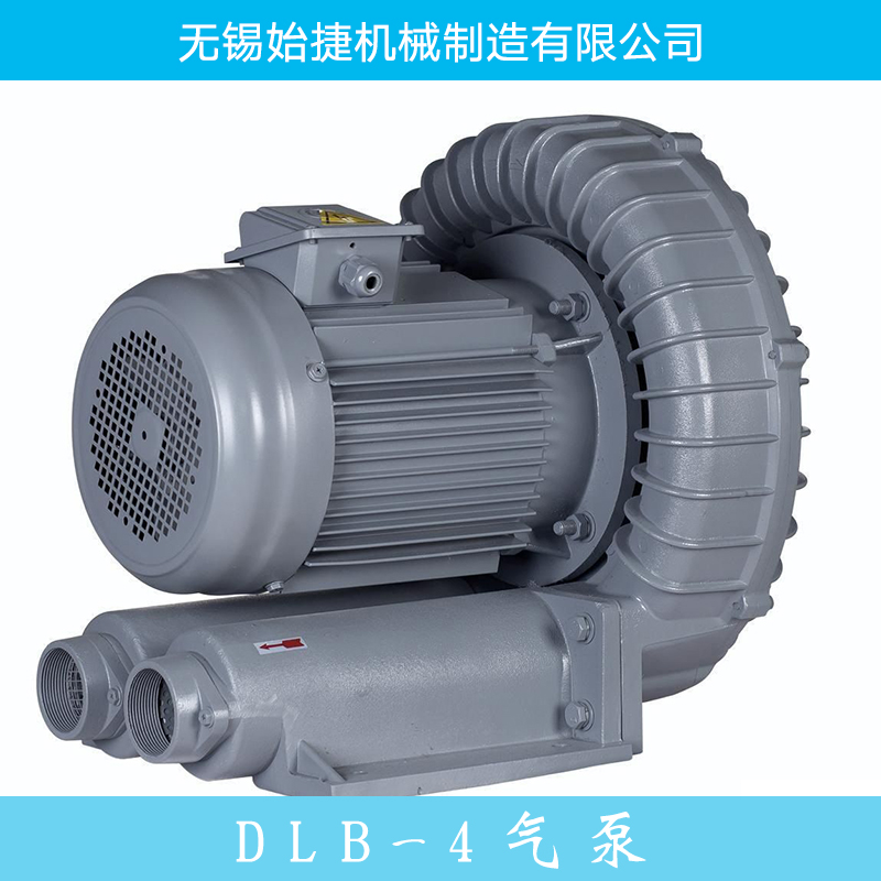 DLB-4气泵供应图片