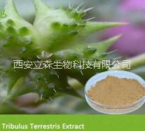 刺蒺藜提取物 刺蒺藜皂甙 刺蒺藜提取物  刺蒺藜皂甙 取物
