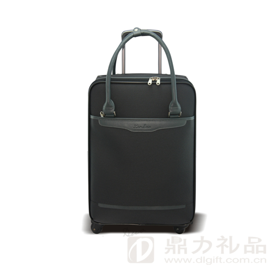 合肥拉桿包圖片/合肥拉桿包樣板圖 (1)