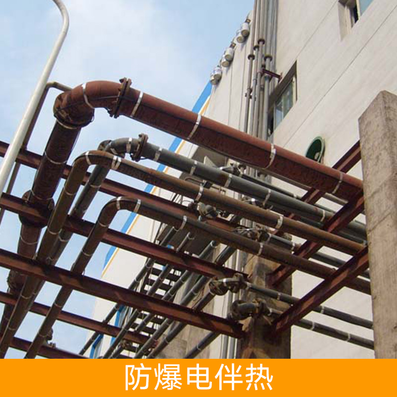 電伴熱圖片/電伴熱樣板圖 (3)