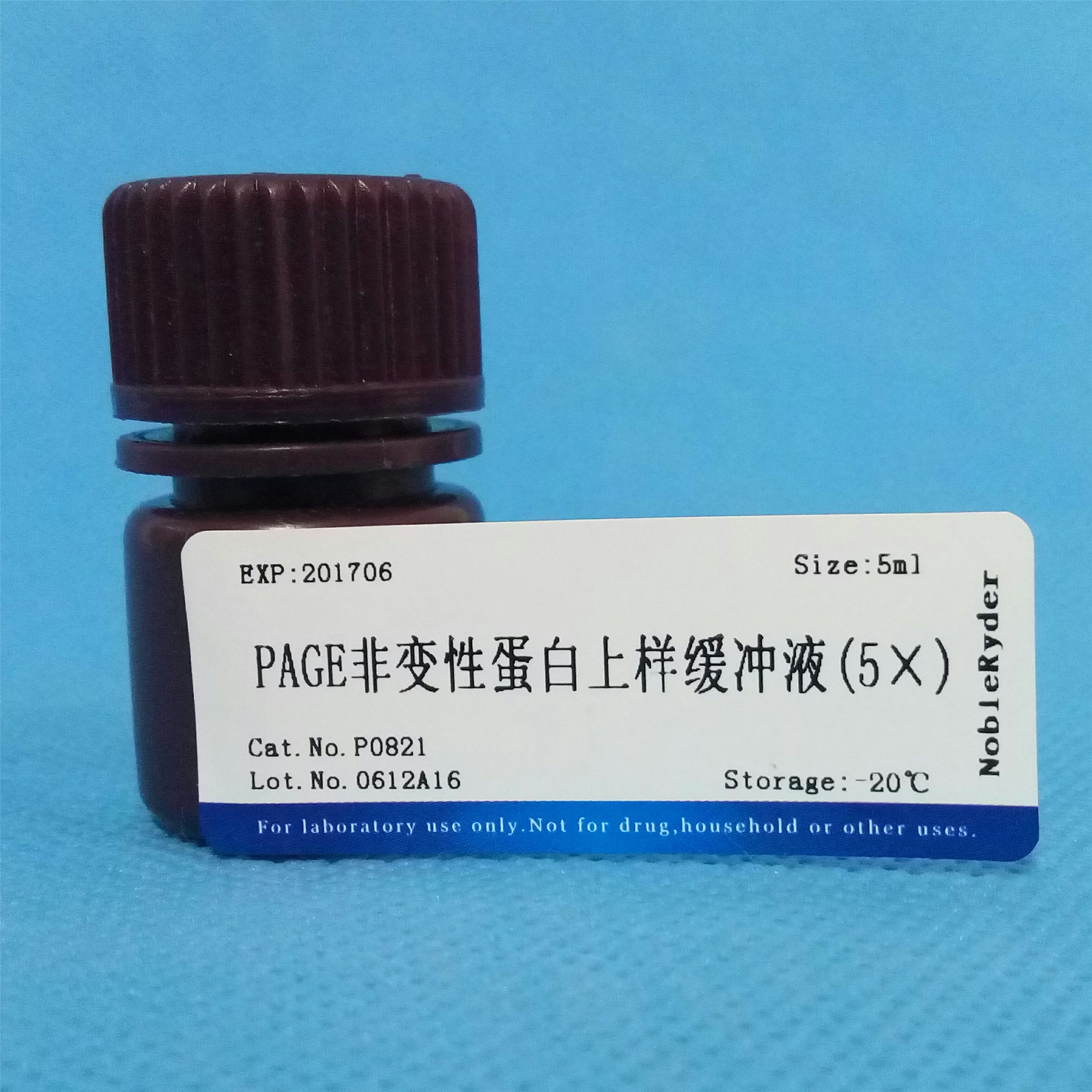 PAGE非變性蛋白上樣緩沖液(5圖片