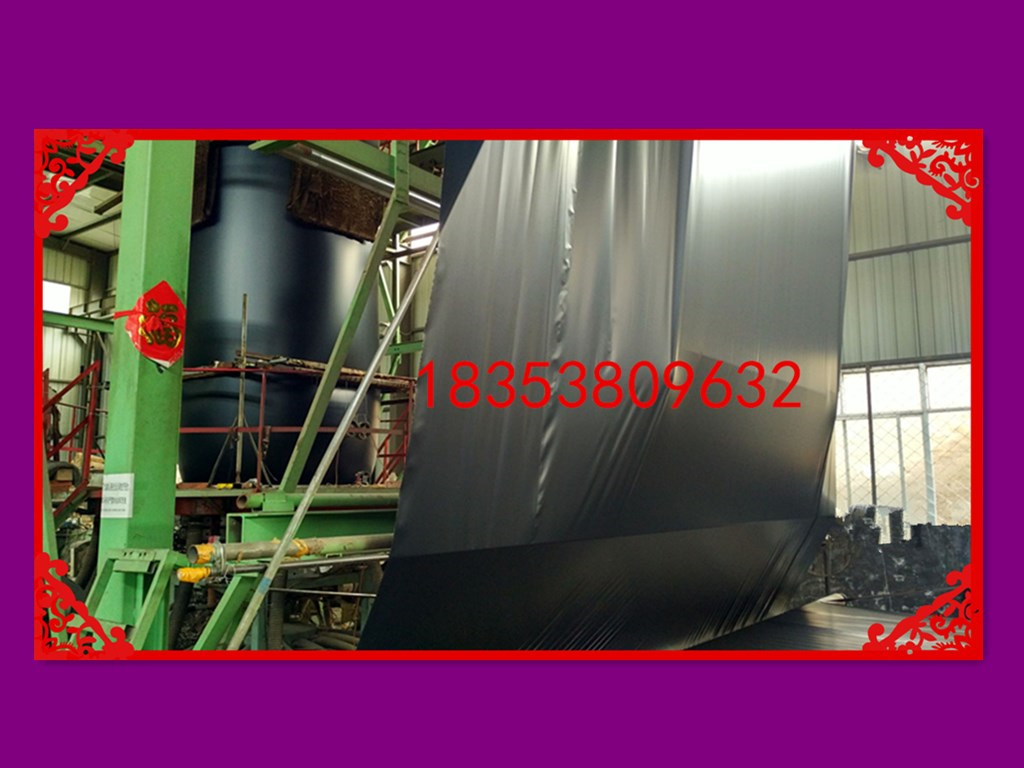 菏澤巨野縣南斯拉夫雪蓮藕太空1號種植專業(yè)合作社