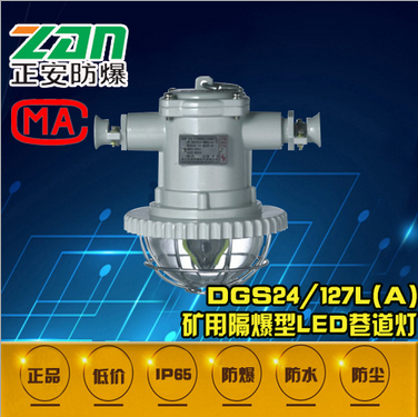 正安防爆DGS24-36/127L(B)矿用隔爆LED巷道灯 照明灯 荧光灯 矿灯图片