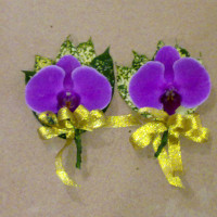 長(zhǎng)短期圖片/長(zhǎng)短期樣板圖 (3)