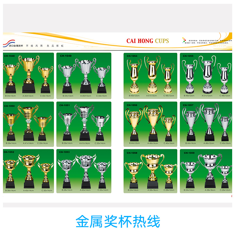 金屬獎(jiǎng)杯圖片/金屬獎(jiǎng)杯樣板圖 (2)