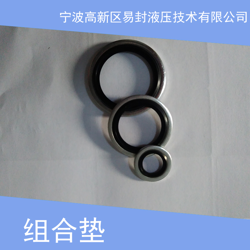 組合墊廠家直銷 氟膠組合墊 金屬墊片 組合墊密封圈 半包組合墊 非標(biāo)組合墊