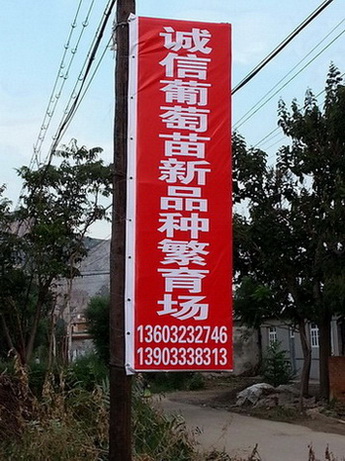 玲瓏圖片/玲瓏樣板圖 (4)