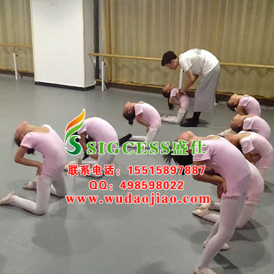 盛仕地板是怎么征服女性的