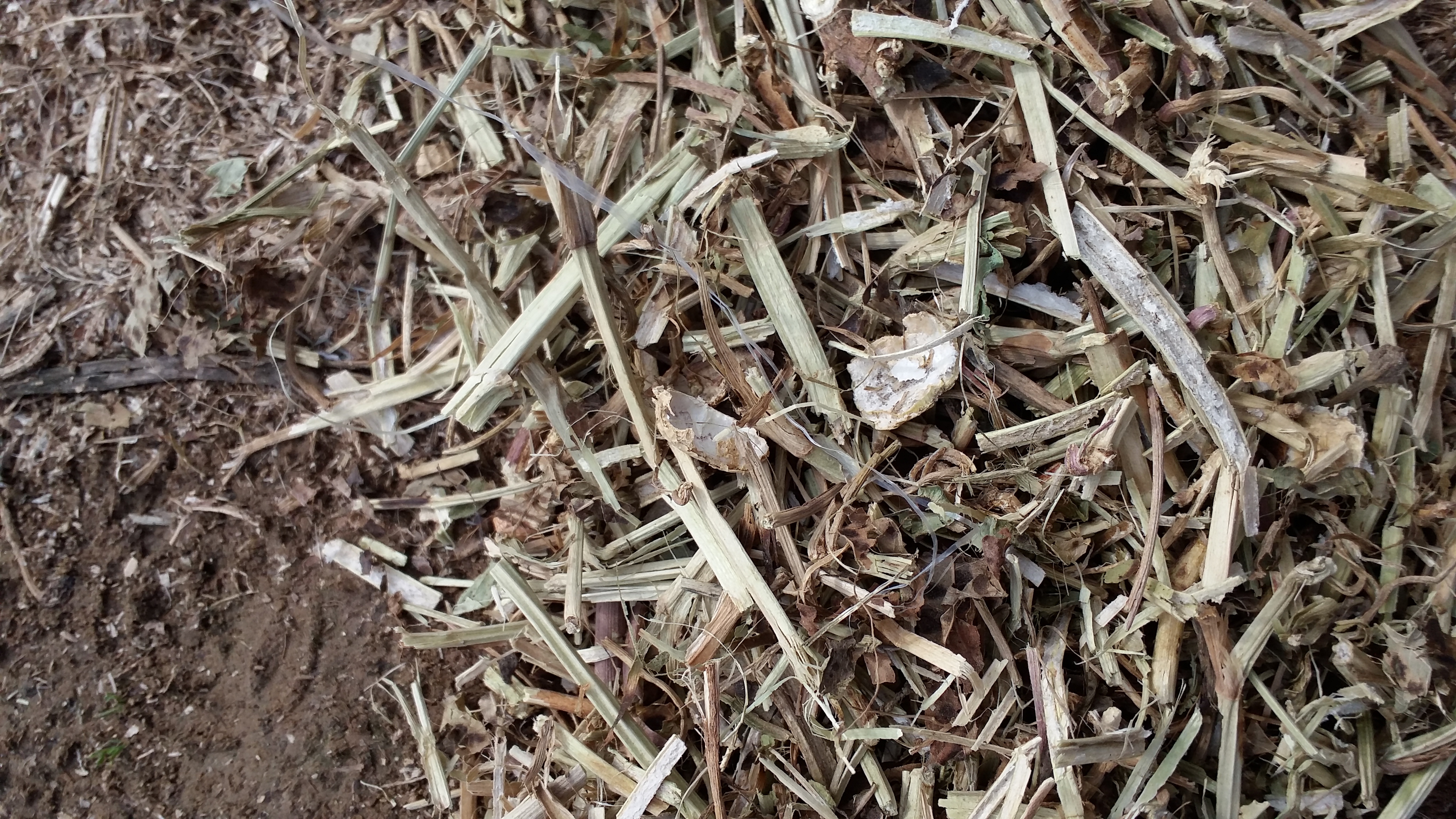 唐山花生秧批發(fā)，唐山花生秧草粉，花生秧秸稈多少錢一噸