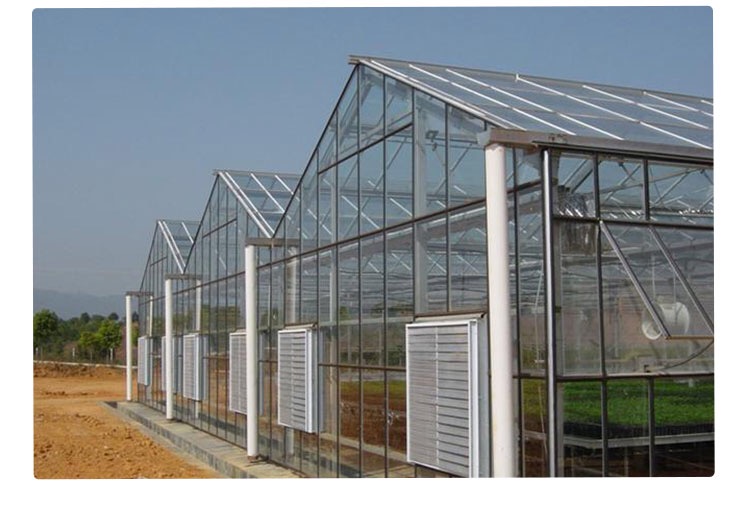 塑料大棚圖片/塑料大棚樣板圖 (2)