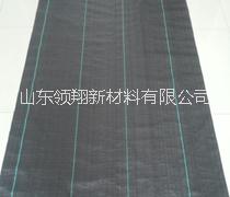 編織土工布圖片/編織土工布樣板圖 (4)