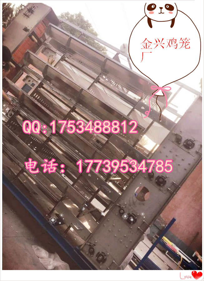 層疊式全自動化蛋雞籠