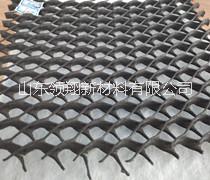 復(fù)合排水網(wǎng)圖片/復(fù)合排水網(wǎng)樣板圖 (2)