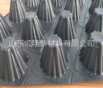 塑料立體隧道防水板山東領翔長期供應