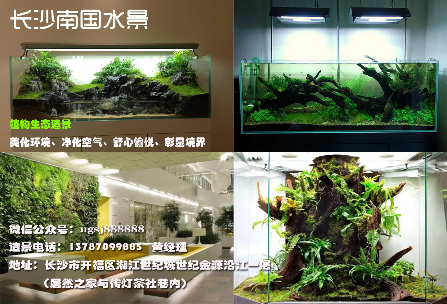 长沙植物墙、室内绿化找【南国水景】图片