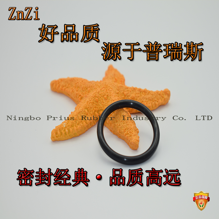 耐磨活塞桿密封件