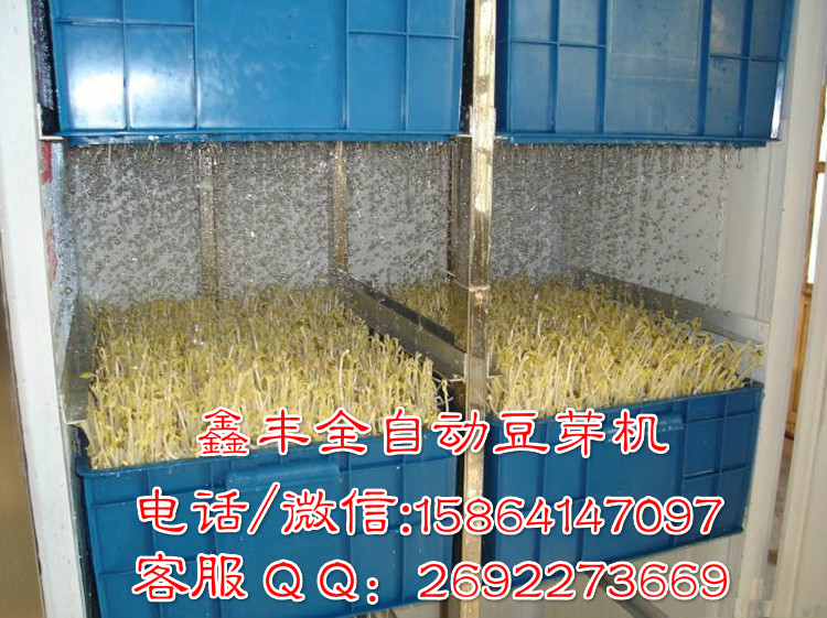 豆芽機器圖片
