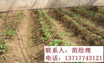 滴灌管圖片/滴灌管樣板圖 (4)