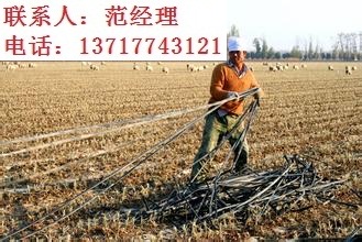 直銷滴灌管材價(jià)格-滴灌帶價(jià)格-滴灌管價(jià)格