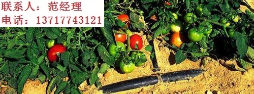 滴灌管材圖片/滴灌管材樣板圖 (3)