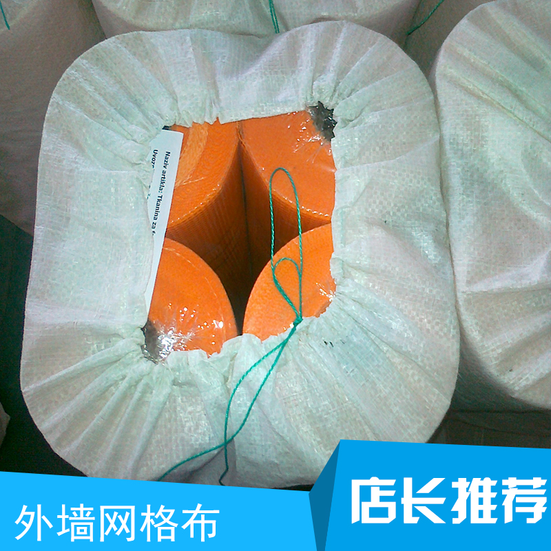 外墻網(wǎng)格布圖片/外墻網(wǎng)格布樣板圖 (3)