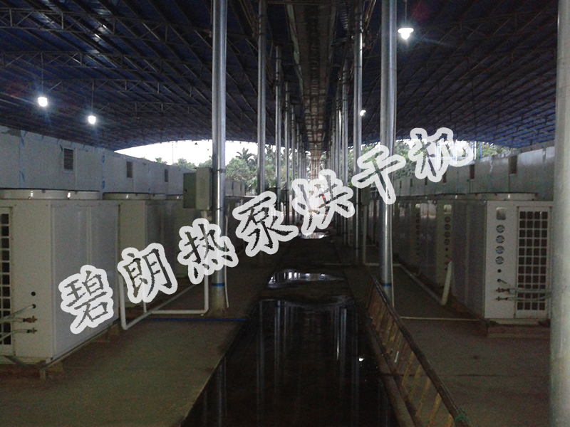 檳榔烘干圖片/檳榔烘干樣板圖 (3)