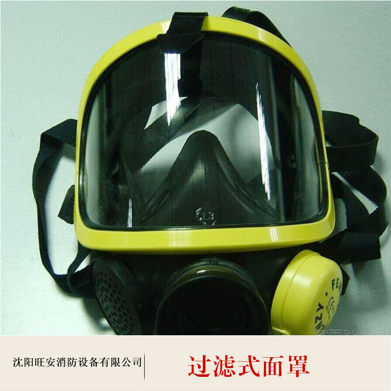 沈陽過濾式面罩圖片/沈陽過濾式面罩樣板圖 (2)