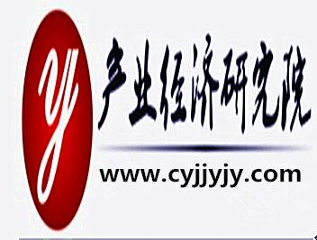 中国团购行业运行现状分析及未来发展前景趋势预测报告2016-2022年