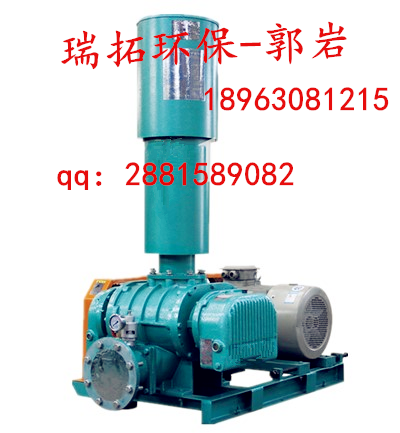專業(yè)生產(chǎn)SR羅茨鼓風(fēng)機(jī)圖片/專業(yè)生產(chǎn)SR羅茨鼓風(fēng)機(jī)樣板圖 (1)