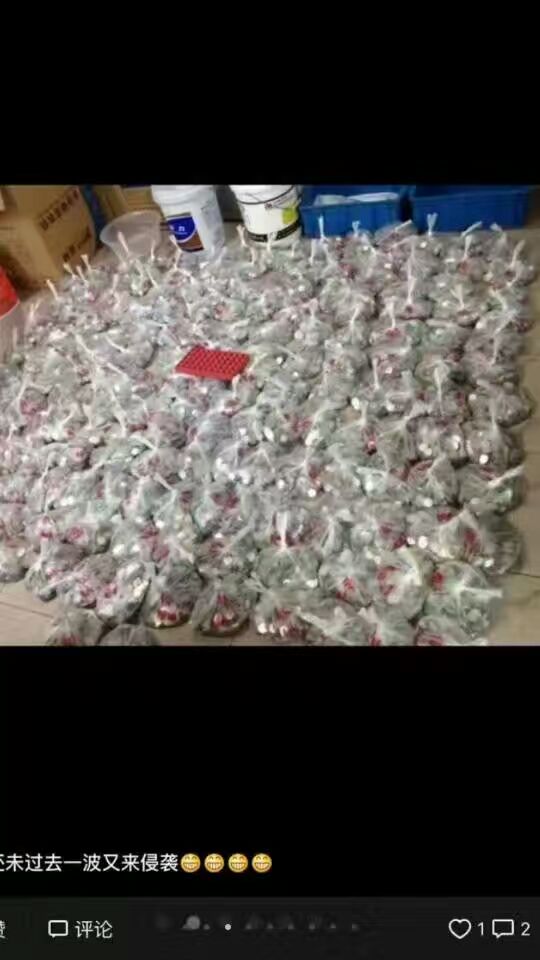 全自動(dòng)投幣洗衣機(jī)圖片/全自動(dòng)投幣洗衣機(jī)樣板圖 (3)