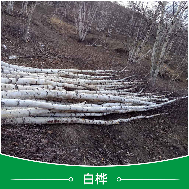 河北承德圖片/河北承德樣板圖 (3)