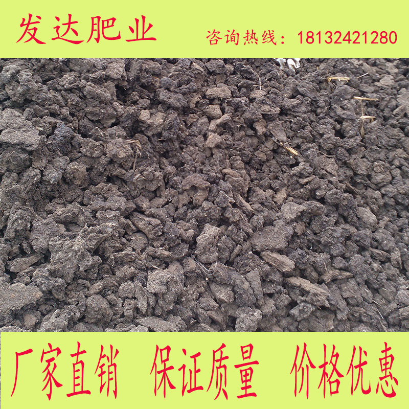 河南干雞糞有機肥圖片