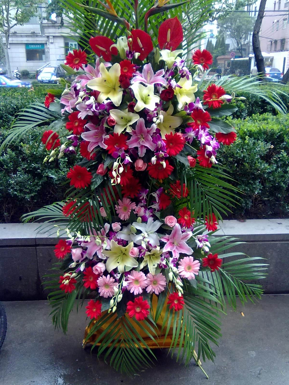 合肥市政務(wù)區(qū)懷寧路鮮花店圖片