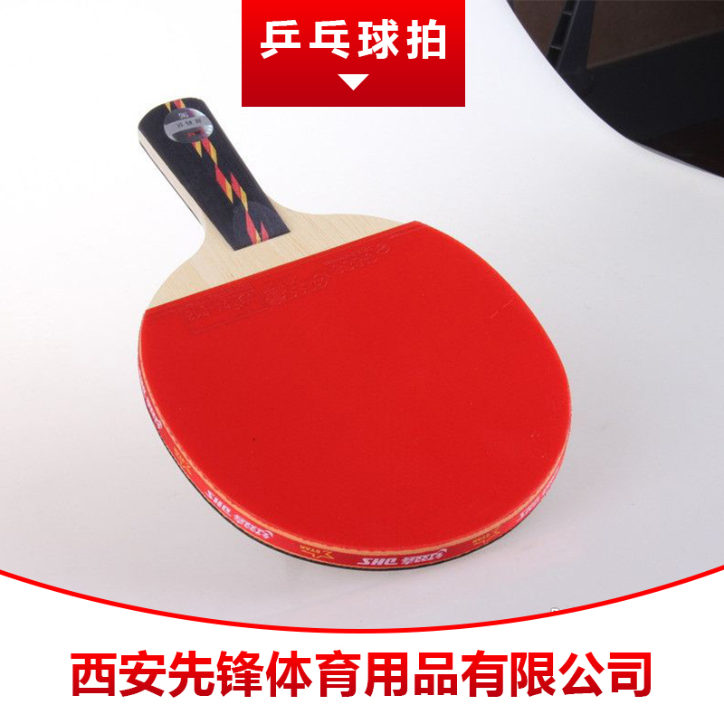 乒乓球拍圖片