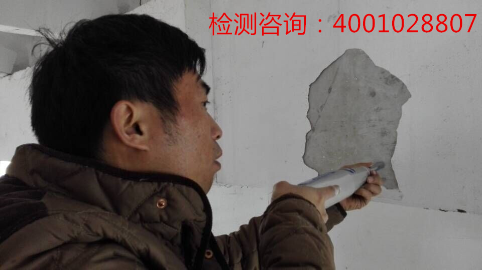 房屋質(zhì)量檢測(cè)圖片/房屋質(zhì)量檢測(cè)樣板圖 (4)