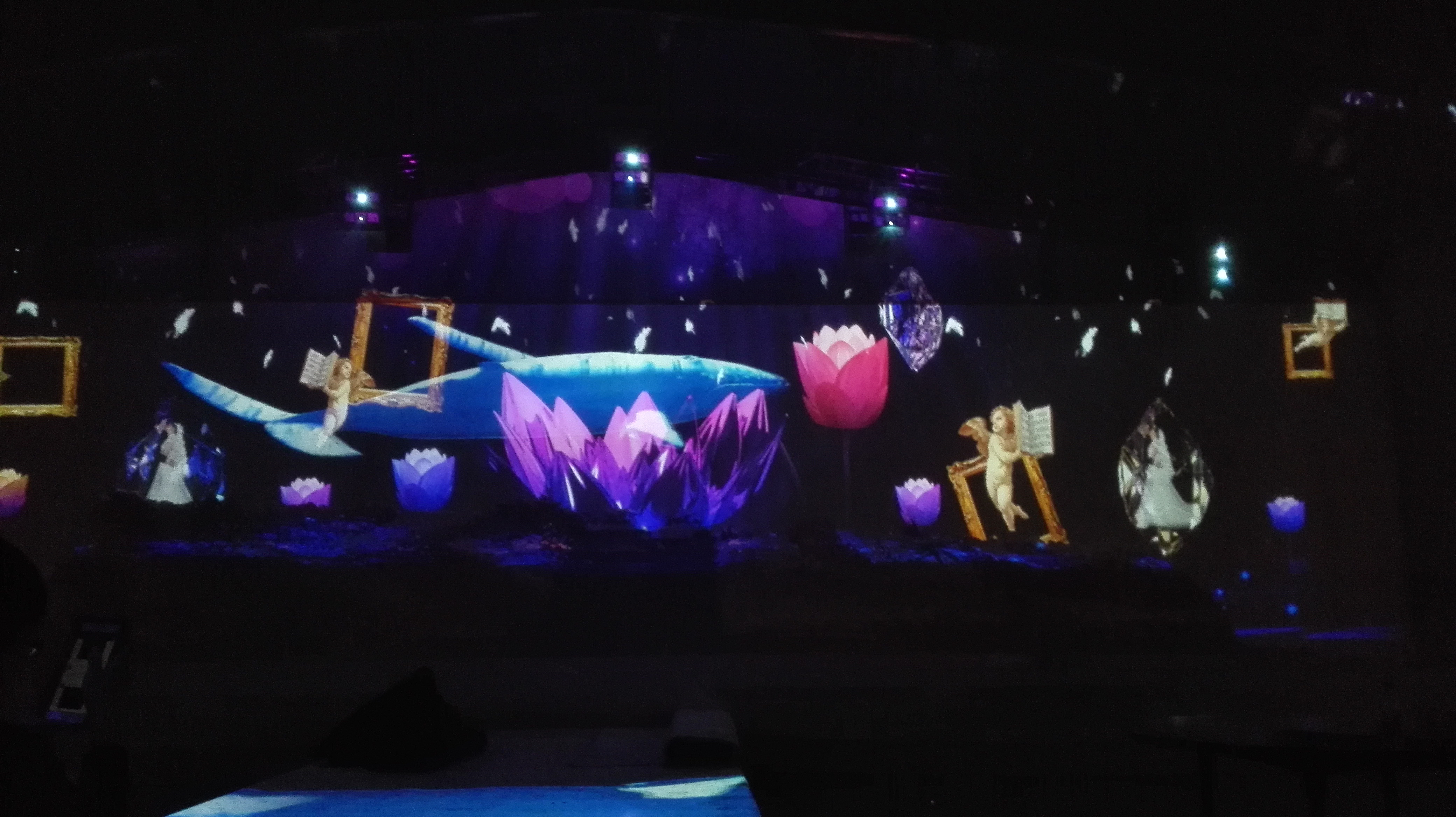 宴會廳圖片/宴會廳樣板圖 (4)