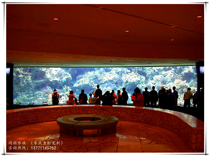 定做大型魚缸圖片/定做大型魚缸樣板圖 (3)