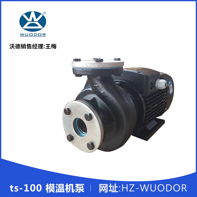 模溫機泵圖片/模溫機泵樣板圖 (2)