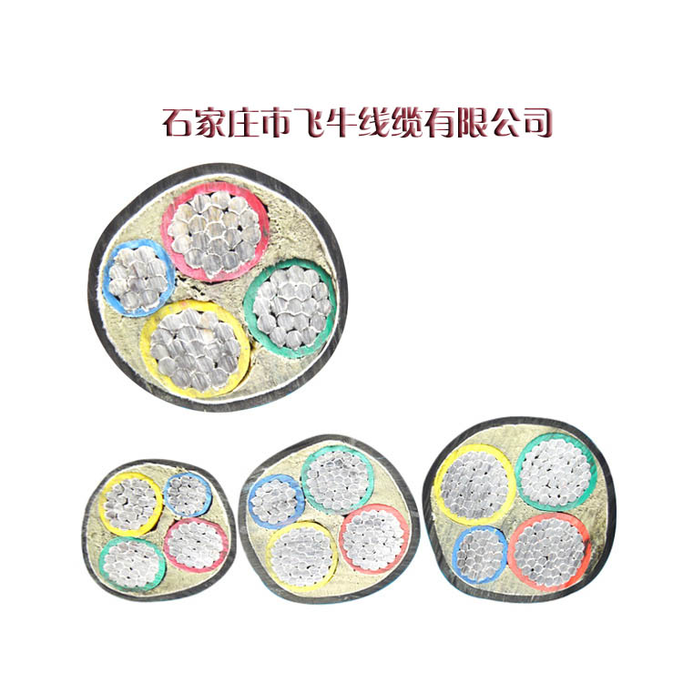 鋁芯電力電纜圖片/鋁芯電力電纜樣板圖 (2)