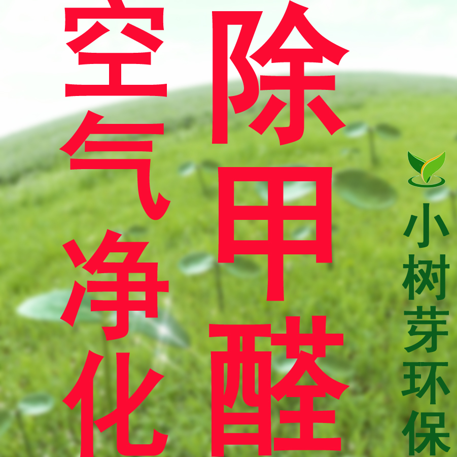 空氣檢測(cè)深圳除甲醛甲醛檢測(cè)圖片