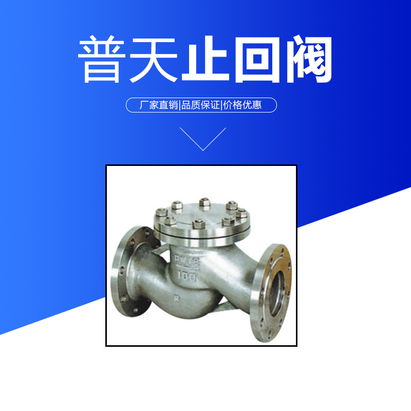 浙江普天H41H升降止回閥圖片/浙江普天H41H升降止回閥樣板圖 (2)