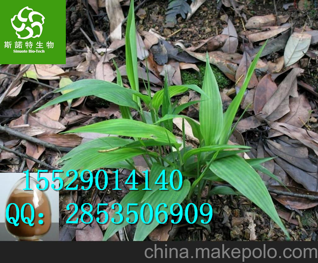 淡竹葉提取物_淡竹葉濃縮粉廠家|淡竹葉速溶粉價格