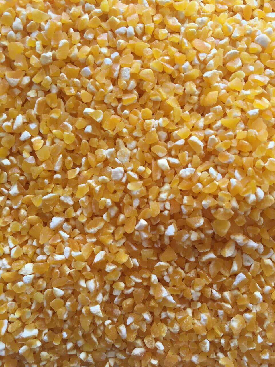 廣東省玉米渣報(bào)價(jià) 玉米渣廠家在哪