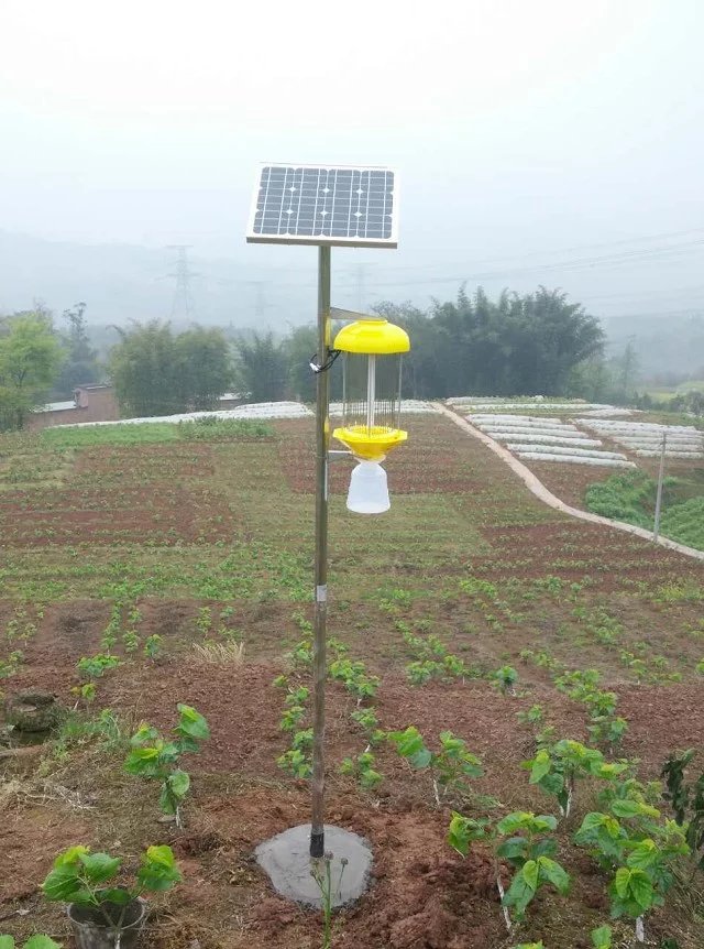 四川廠家直銷頻振式太陽能殺蟲燈果園殺蟲燈 農(nóng)用誘蟲燈 *式滅蟲