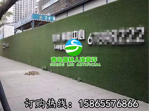 人造草坪圖片/人造草坪樣板圖 (2)