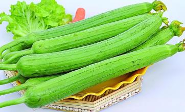 蔬菜配送圖片/蔬菜配送樣板圖 (2)