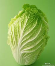 蔬菜配送圖片/蔬菜配送樣板圖 (4)